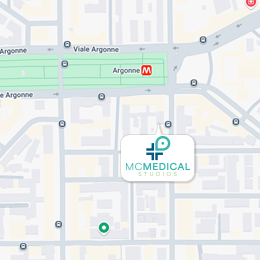 Google Maps Micro